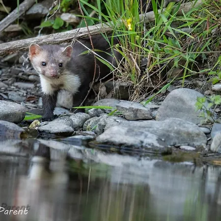 Apartment Haus Schönblick Simmerath