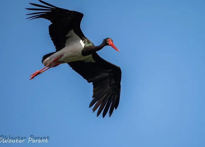Haus Schoenblick Apartamento *