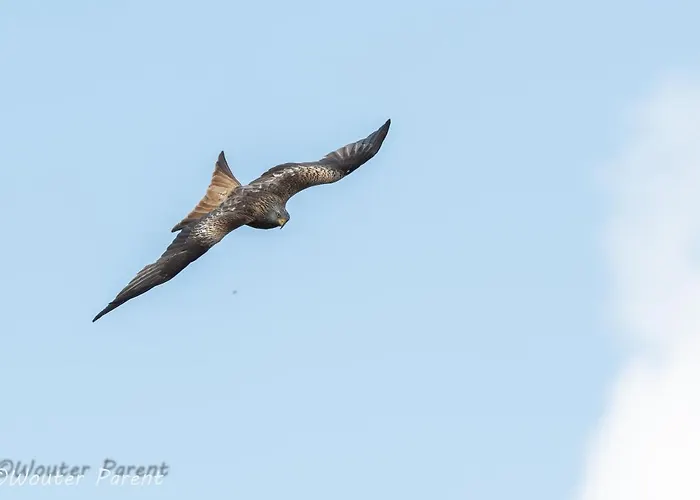 Haus Schoenblick Simmerath