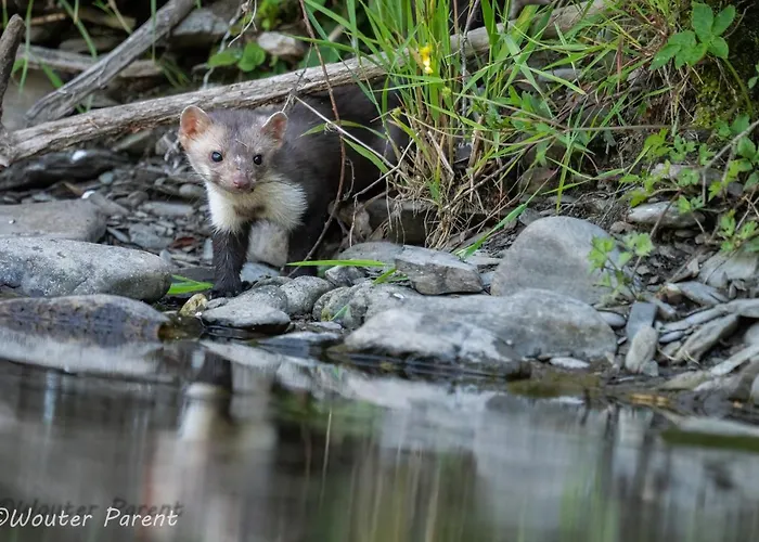 Apartamento Haus Schoenblick Simmerath
